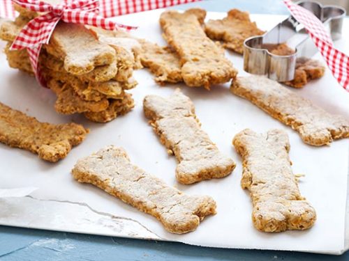 The Holstein Pet Treat Maker: Makes Homemade Dog Biscuits in 7 Minutes!