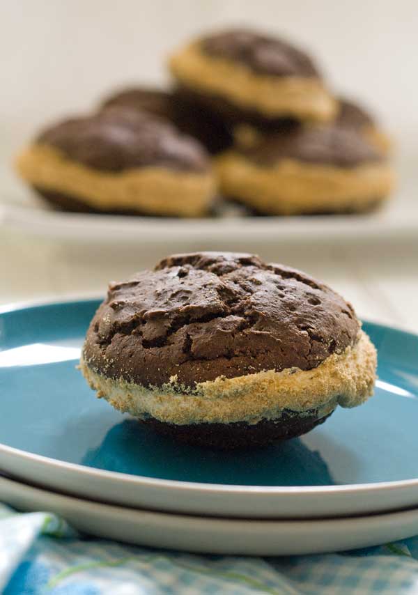 Gluten Free Dairy Free S'Mores Whoopie Pies