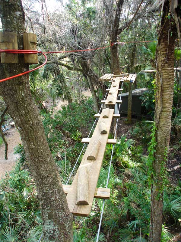 Brevard Zoo Treetop Trek 2