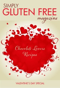 Chocolate-Lovers-Recipes-eBook-Cover