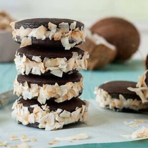 Gluten Free Dairy Free Coconut Ice Cream Sandwiches Recipe