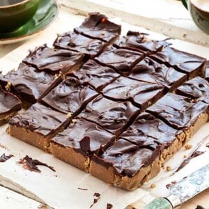 Gluten Free Sunbutter Chocolate Fudge Recipe