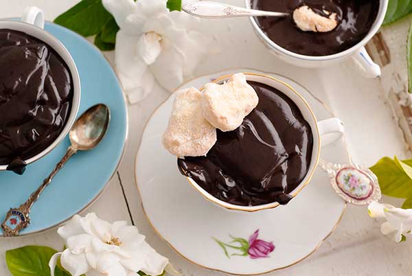 Gluten Free Cocoa Pudding Recipe