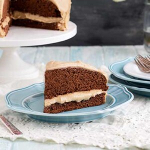 Gluten Free Chocolate Cake with Sunbutter Icing