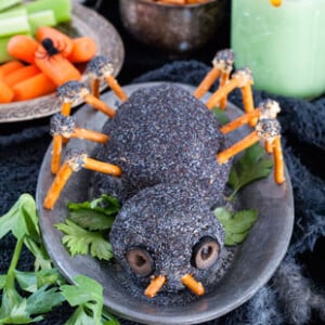 Cheese Spider 310x400 1.jpg