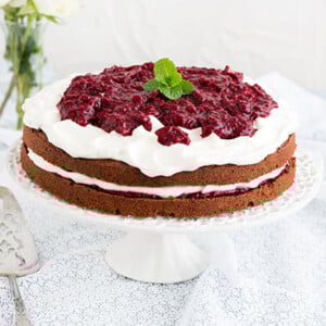 Chocolate Raspberry Torte 2.jpg