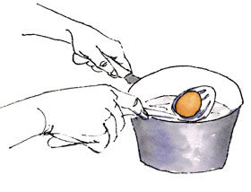 Workbook Illustrated: How To Boil Eggs image