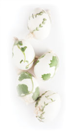 Easter Eggs: Flora Inspired & Naturally Dyed Image