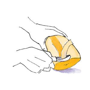 Workbook Illustrated: How to Cut Squash Image