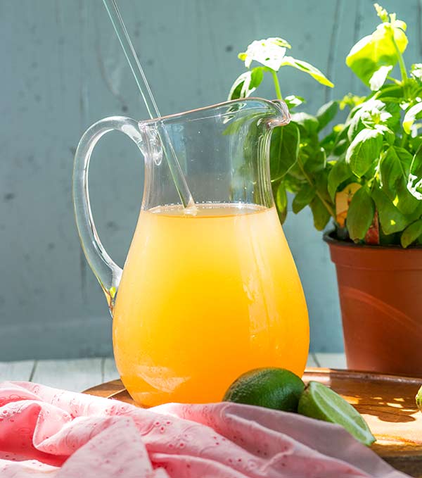 Pineapple Lime Mule Spritzer Recipe