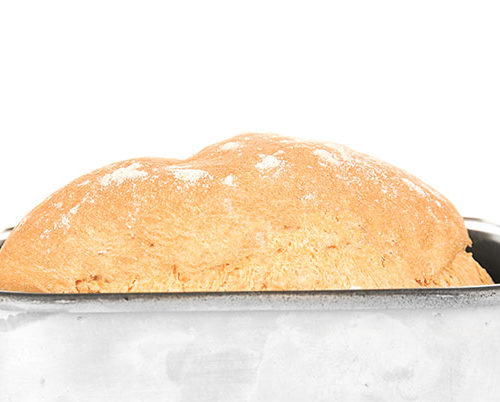 breadman tr520 recipes