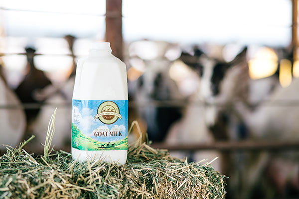 Summerhill Dairy Goat Milk