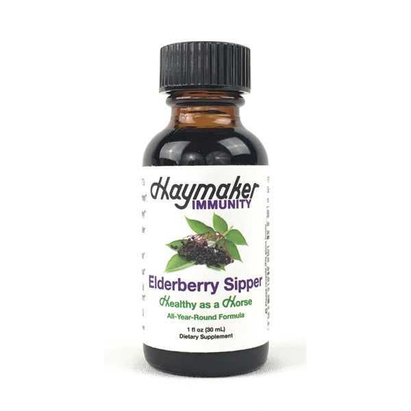 Haymaker Elderberry Sipper