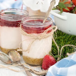 No Bake Cheesecakes