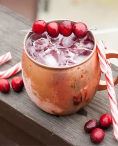 Peppermint Cranberry Moscow Mule
