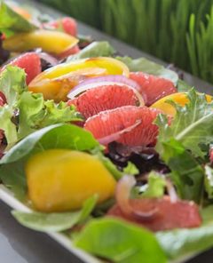 Close up of a Grapefruit Salad