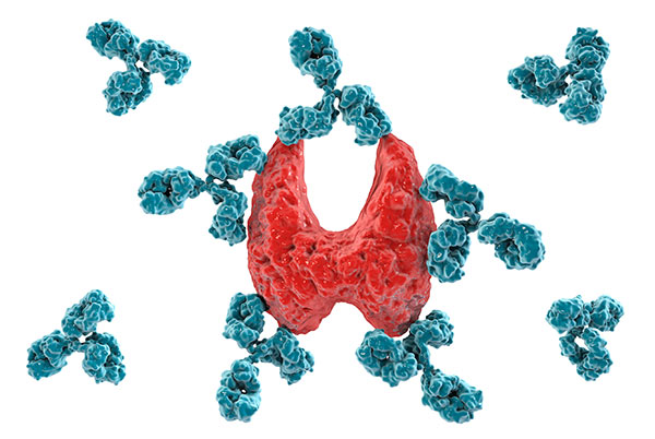 Thyroid Gland illustration with antibodies floating around it