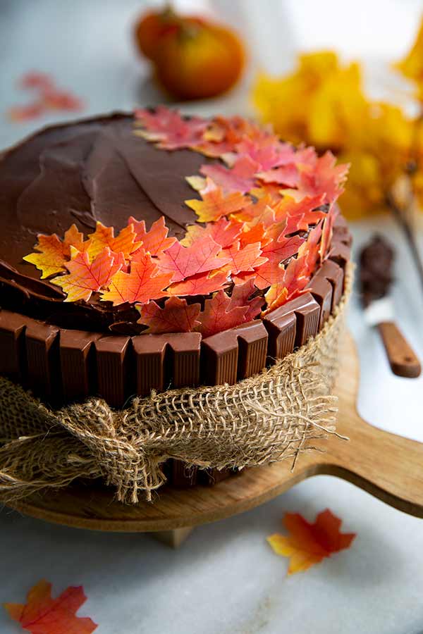 Chocolate cake topped with edible fall leaves with a burlap ribbon tied around it