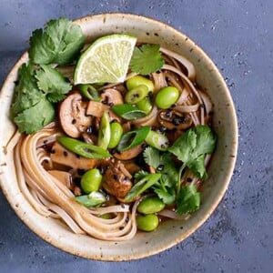 Overhead view of Mushroom Pho in a beige bowl on a blue-gray background