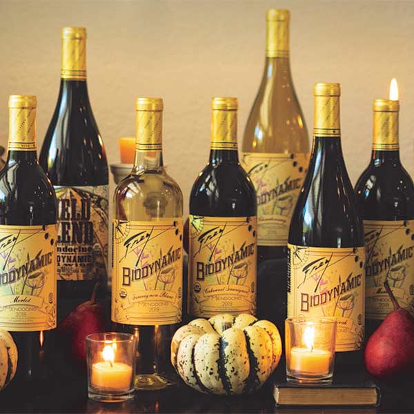 Frey Wine bottles with candles and fall decor