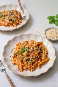 Gluten Free Dairy-Free-Penne-Alla-Vodka-Recipe