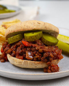 Gluten-Free-Lentil-Sloppy-Joes-Feature